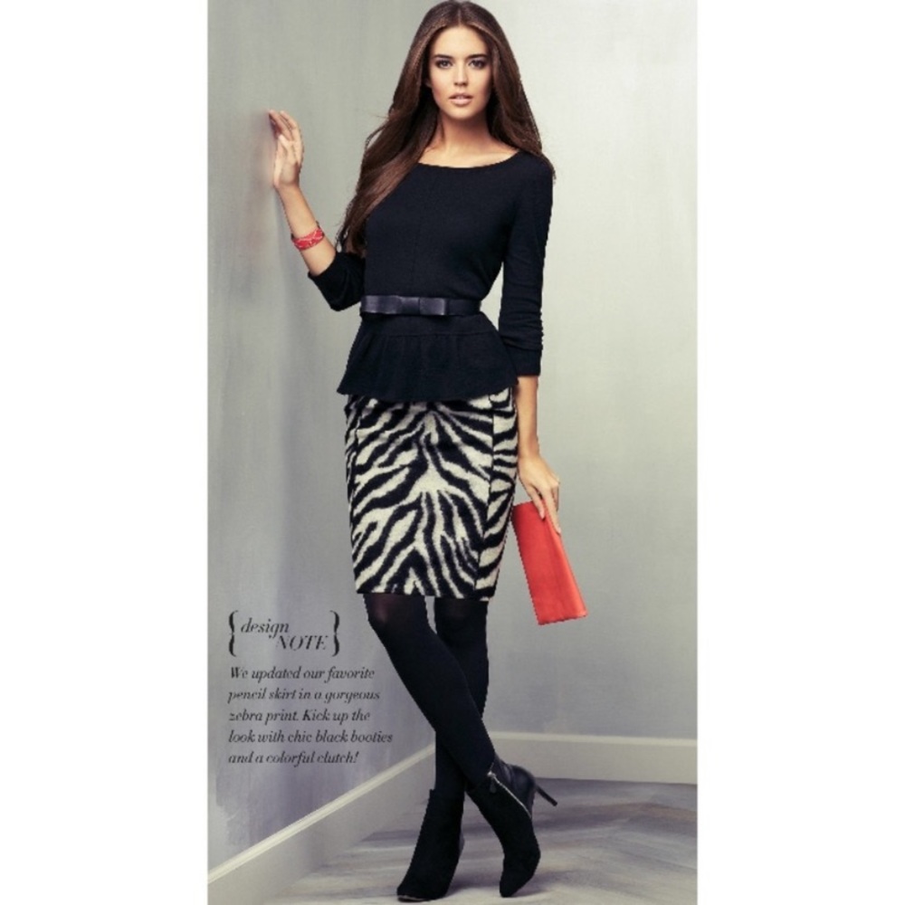 Ann Taylor Animal Zibra Print Skirt.